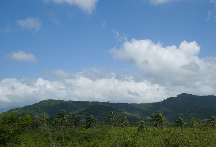 28TP4601131409.jpg